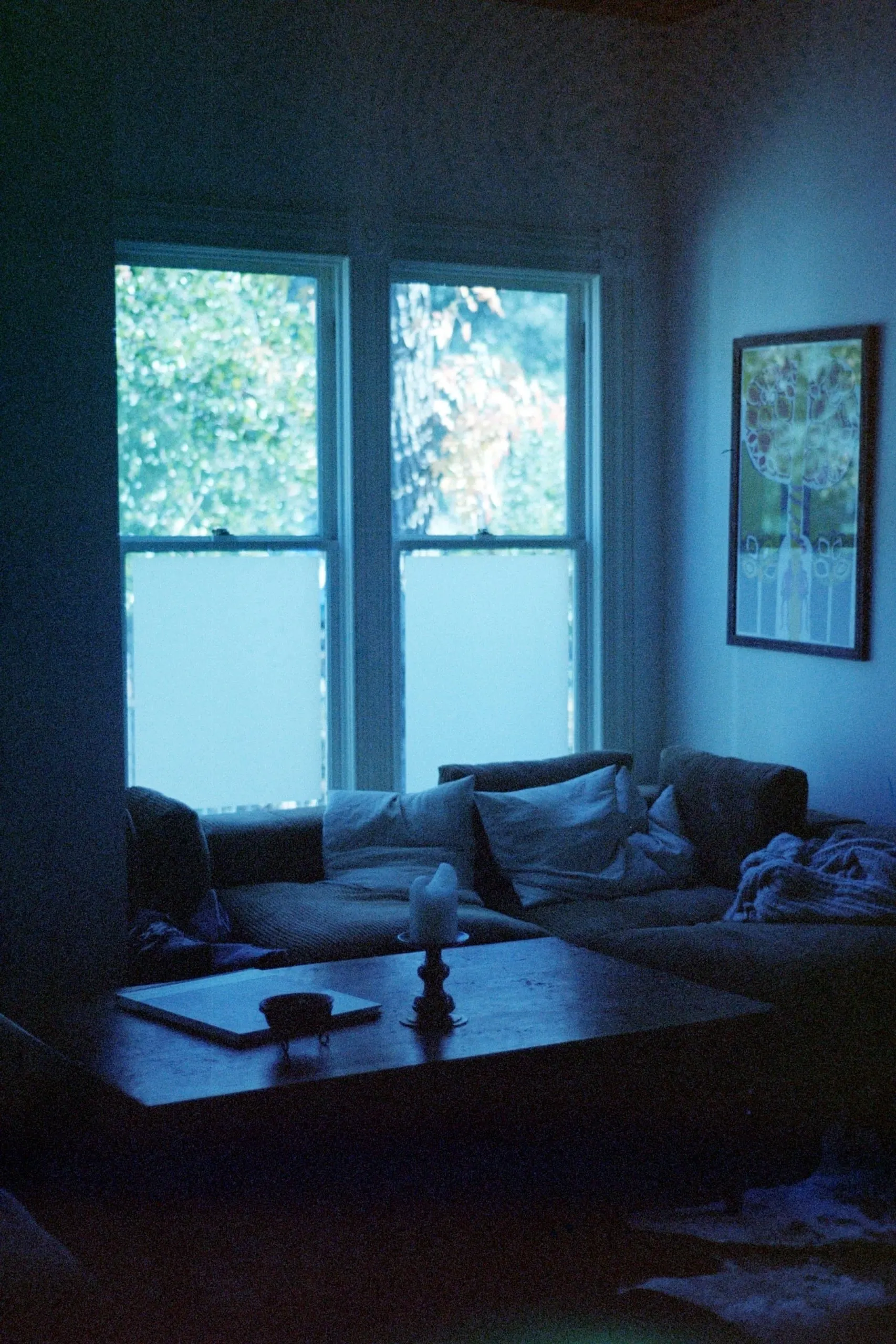Window, blue cast (On Film)